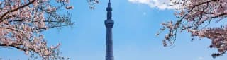 Free tour Tokyo